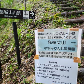 葛城山頂は有料エリアとなっており
ロープウェイを使わず徒歩で来ても入園料
2500円が必要
今日は休園日だったので入園も叶わず
ピーク目前でUターンする
私にとってハードルの高い山になってしまった…