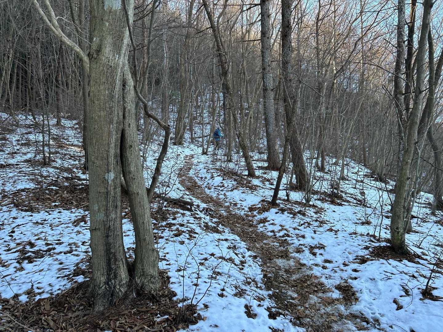 七重峠から堂平山へ登り始めた辺りが
日陰で、踏み固められた雪が凍っていて滑りやすかったです‼️