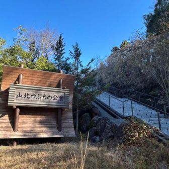 山北つぶらの公園？

登ると無料の駐車場🅿️
たくさんの🚙🚗あり