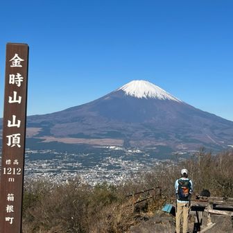 ライムグリーン0001