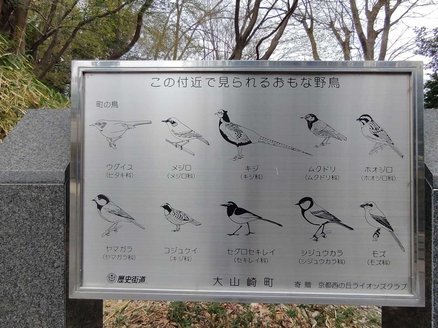 野鳥を見に来てもいいですね