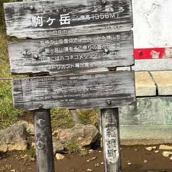 駒ヶ岳の山頂標識　周りの建物と比較すると古風だなあ
