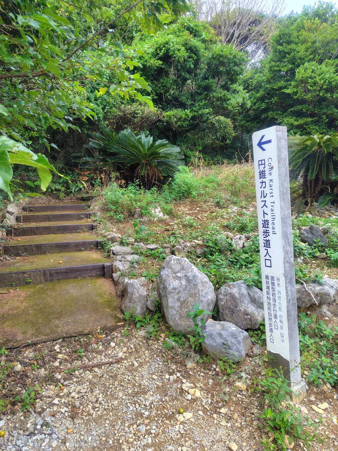さて登山スタート
