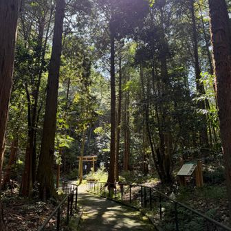 ありがとうございました🙏