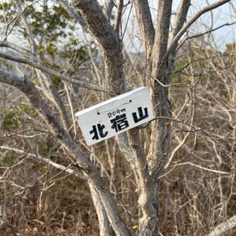 今回初めてです。