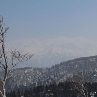 少し見えてきた