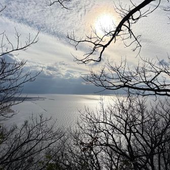 肉眼では一面金色でとてもきれいでした