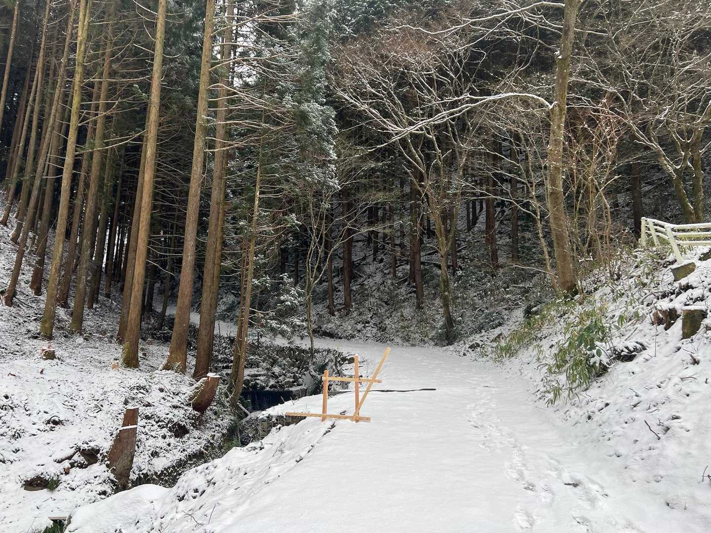 百ヶ辻登山口-金剛山山頂売店-金剛山-転法輪寺-金剛山葛木 周回コースの写真