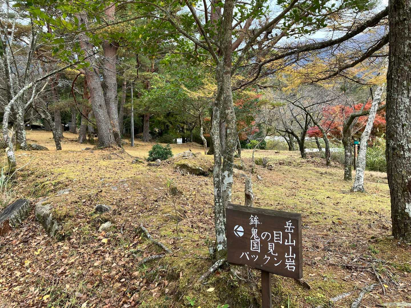 更に気合‼️