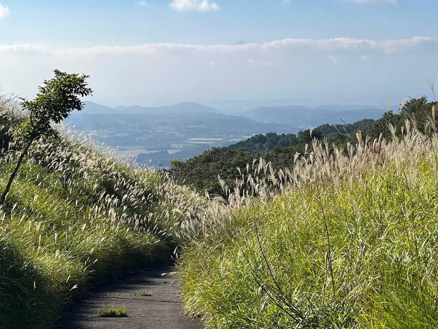 休憩中振り返って
素晴らしい景色