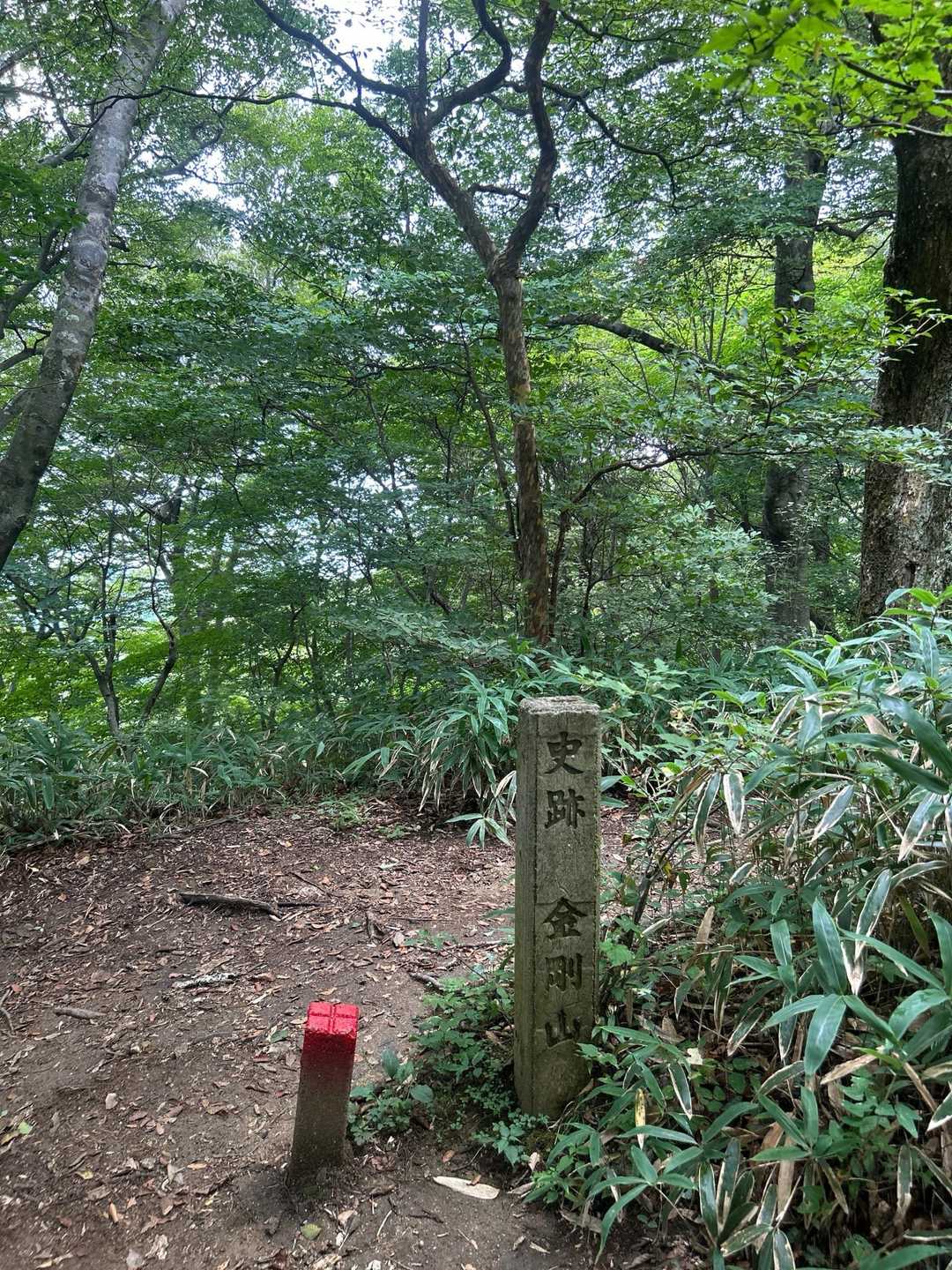 登りはほぼ終わり