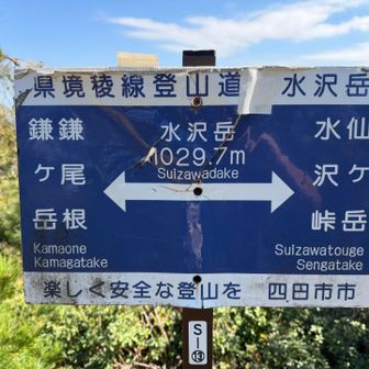 水沢岳でパスされた2名はかなりの健脚でした🥹