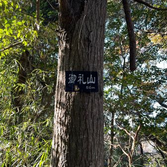 御礼山
標高50m 
山名が標高って素敵③