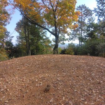 この辺りが白山平山頂‥👍
