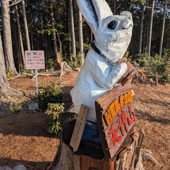 展望台へ移動して…
🐇さん、白くなってる♪
ペンキ塗り立て⚠️でした😅