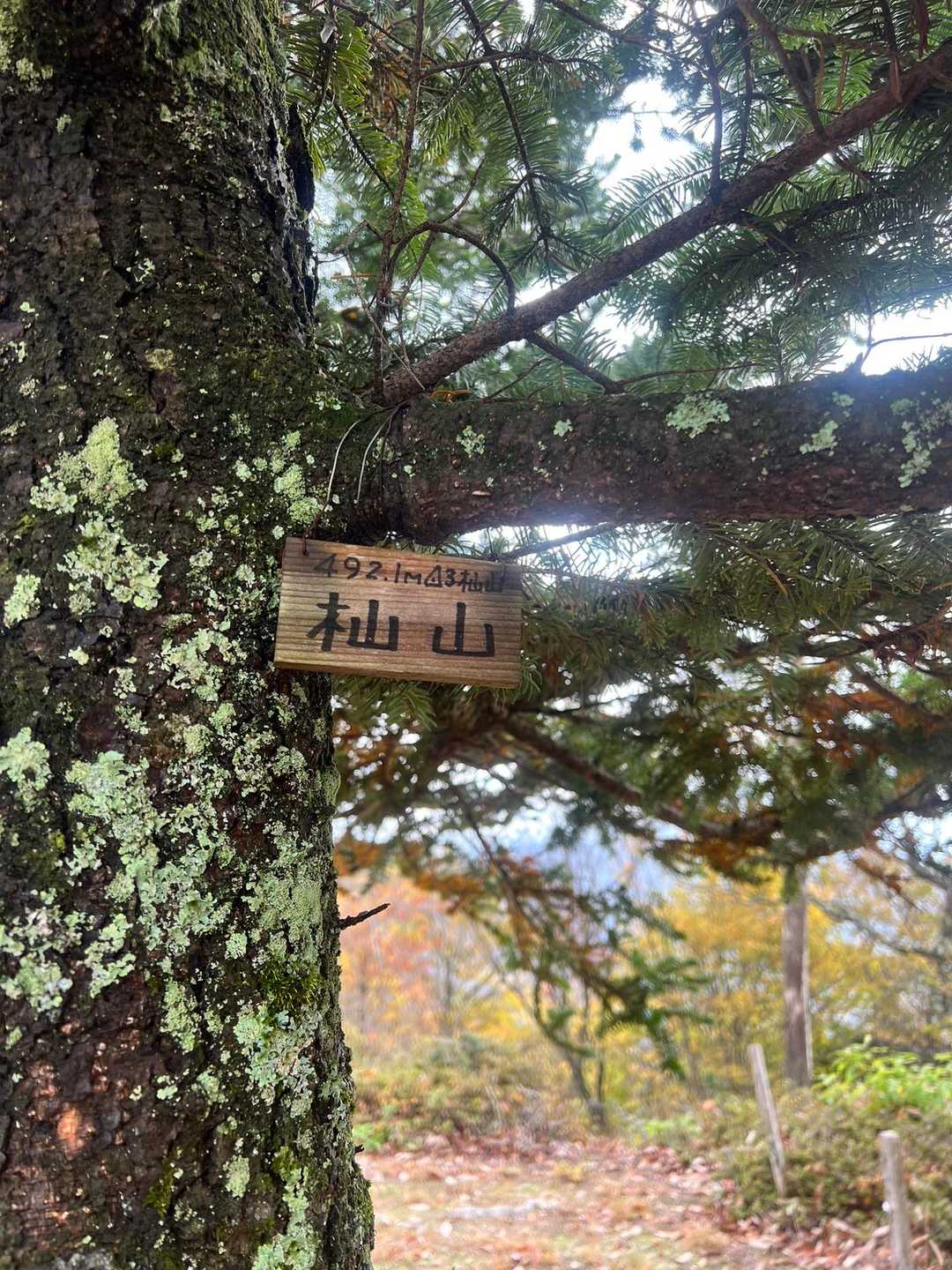 第二登山口-杣山-第一登山口 往復コースの写真
