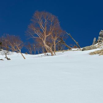 さよなら👋オベリスク
また来ます！！