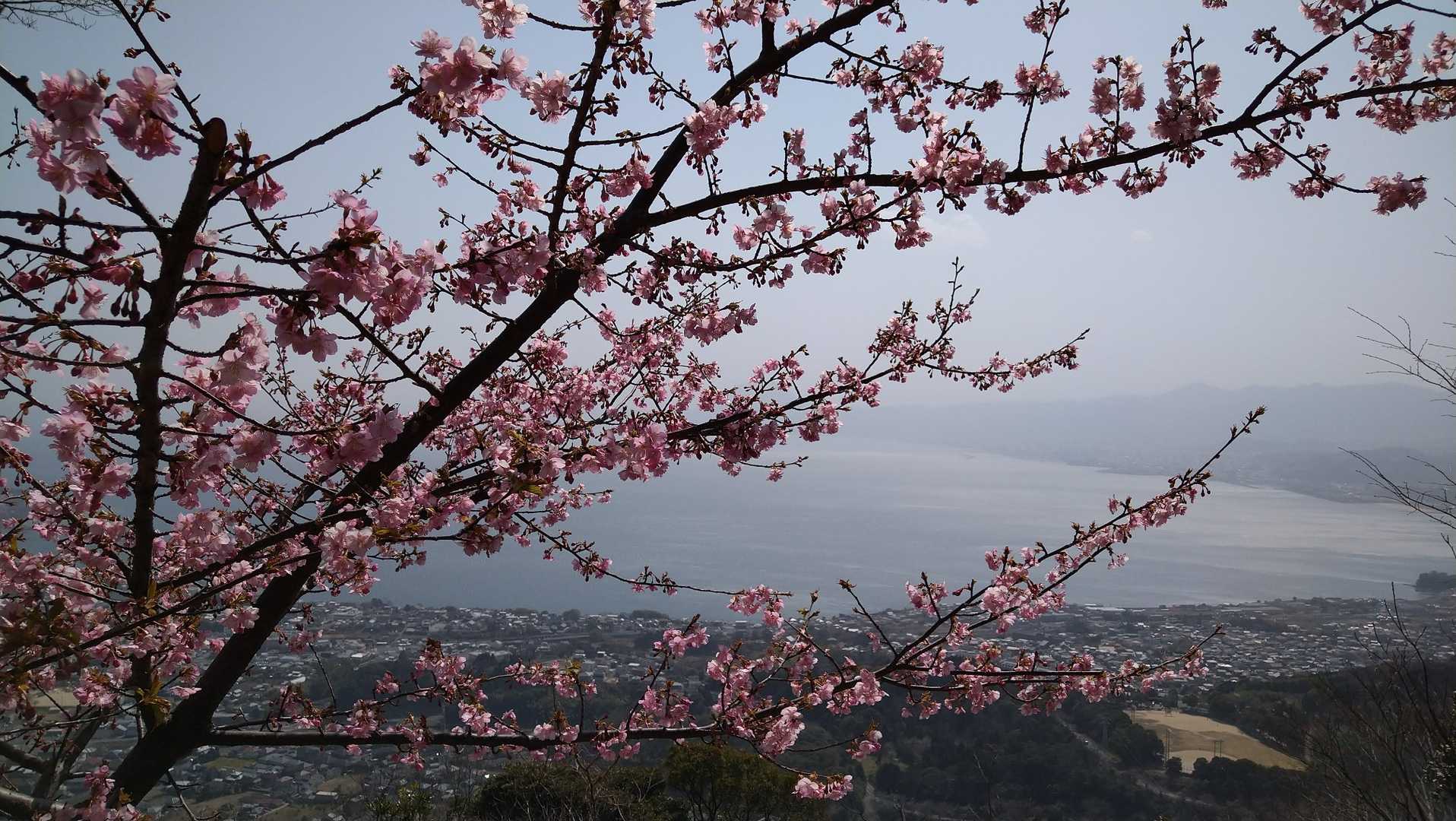 別府湾は黄砂で良く見えませんでした。