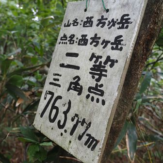 通り過ぎていたので、少し戻って、
西方ケ岳　２等三角点
YAMAPの山頂はここになっていました