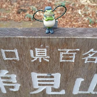 気に入った山なので、紐をハートマークにしようとしたがいう事聞かず、いびつに。