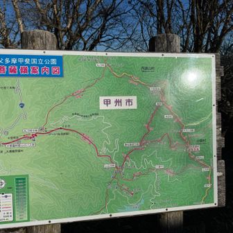 次回は縦走かな