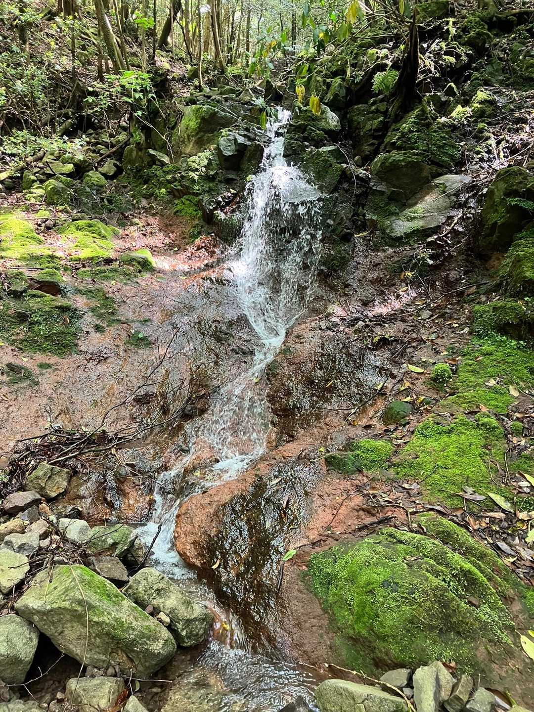 南登山口-長尾山-仏石 周回コースの写真