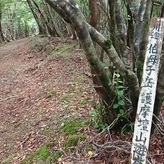 広い稜線
遊歩道レベル
