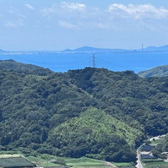 こんな風系でした