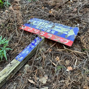 ぶっ倒れてたレトロ看板。
1955年に南牧村と合併した尾沢村の文字がある。