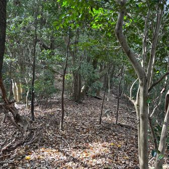 ほんと楽しかった