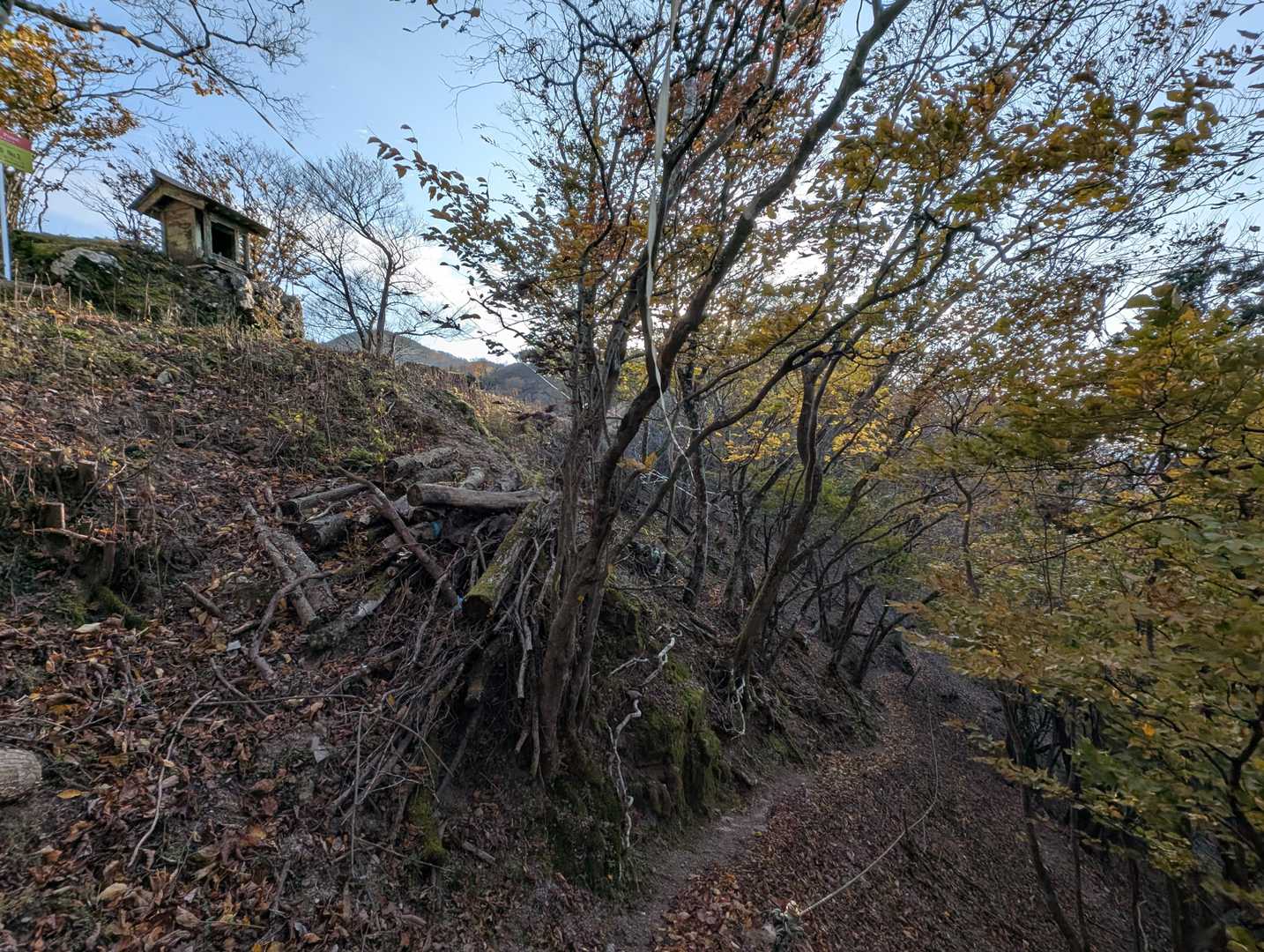 西駐車場へ降りて行きます。