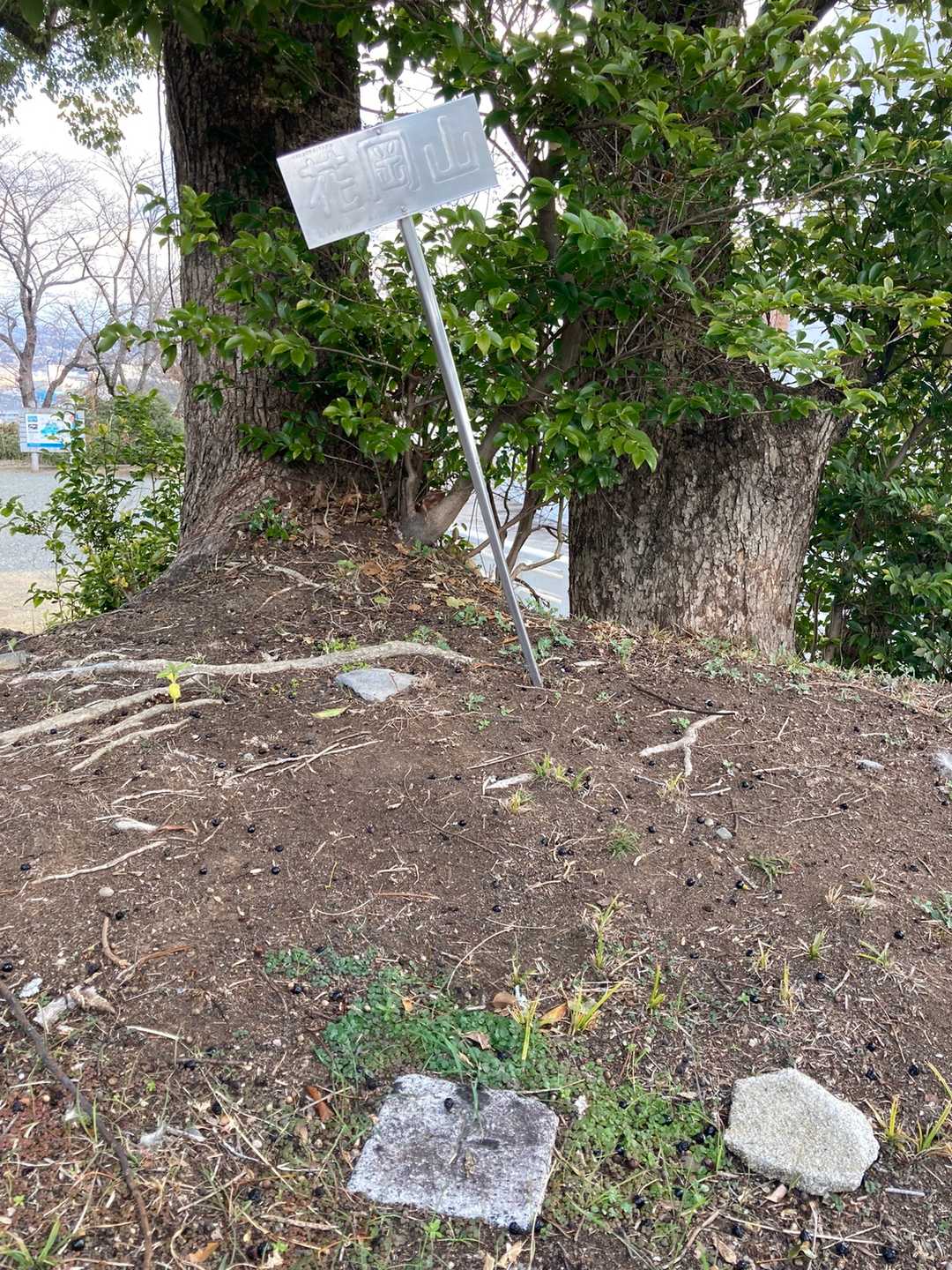これ(笑)地味🤣

花岡山二等三角点。