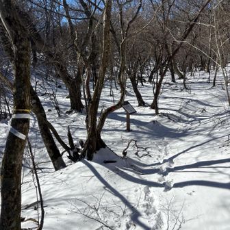 展望所までは歩いやすいです