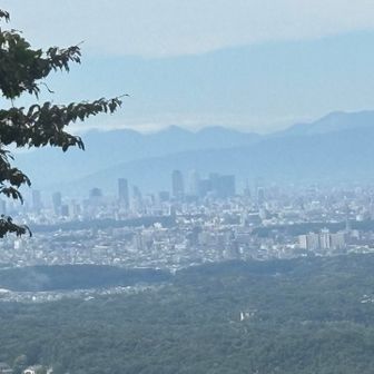 遠くにバンテリンドームや名古屋駅の高層ビル群を望む！