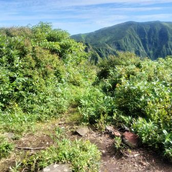 鬼ヶ面山から望む稜線