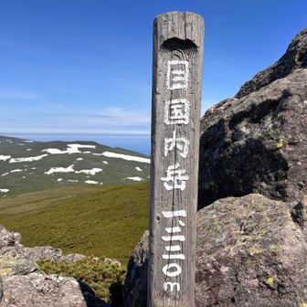 よじ登ったり、引っ張ってもらったり、押してもらったりして、何とか登頂🙌🙌💦💦