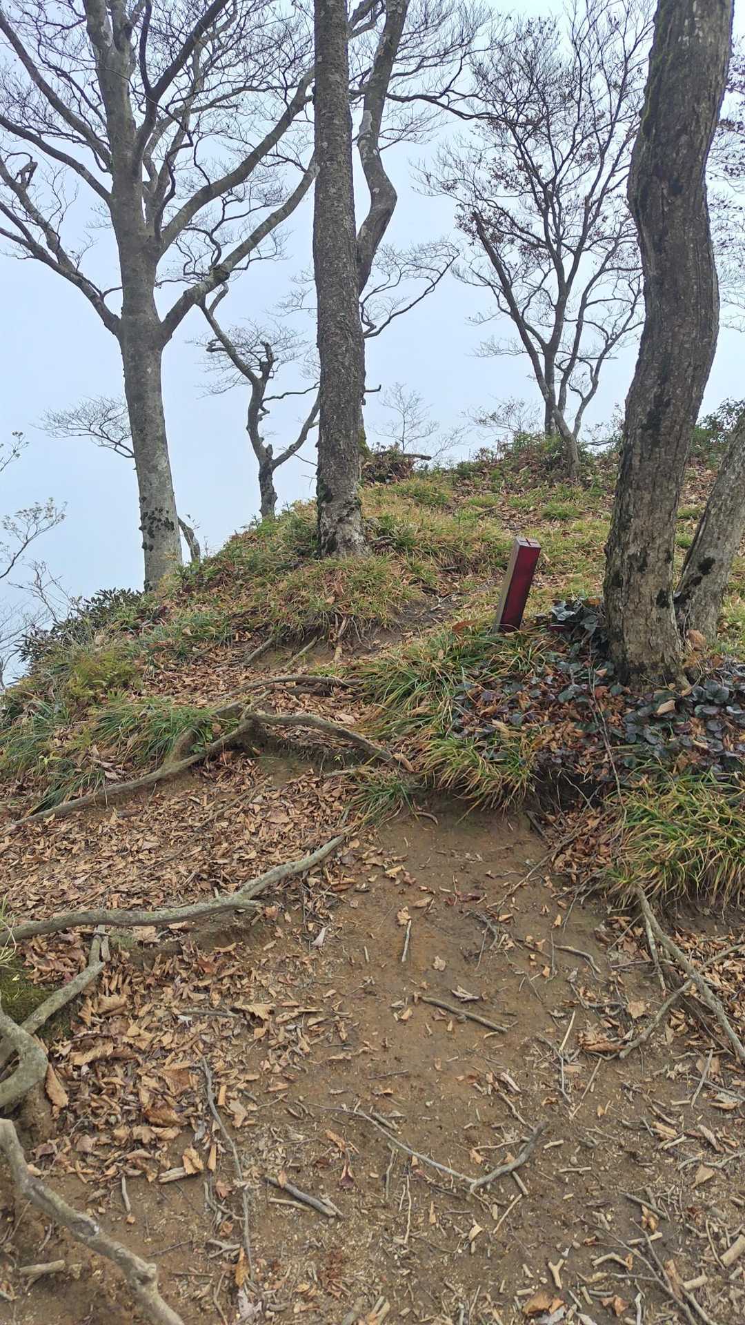 北山-釈迦ヶ岳 往復コースの写真