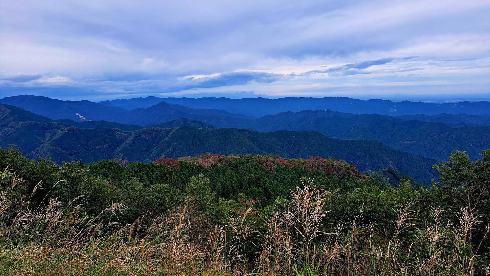 白谷沢-棒ノ嶺-滝ノ平尾根周回コースの写真