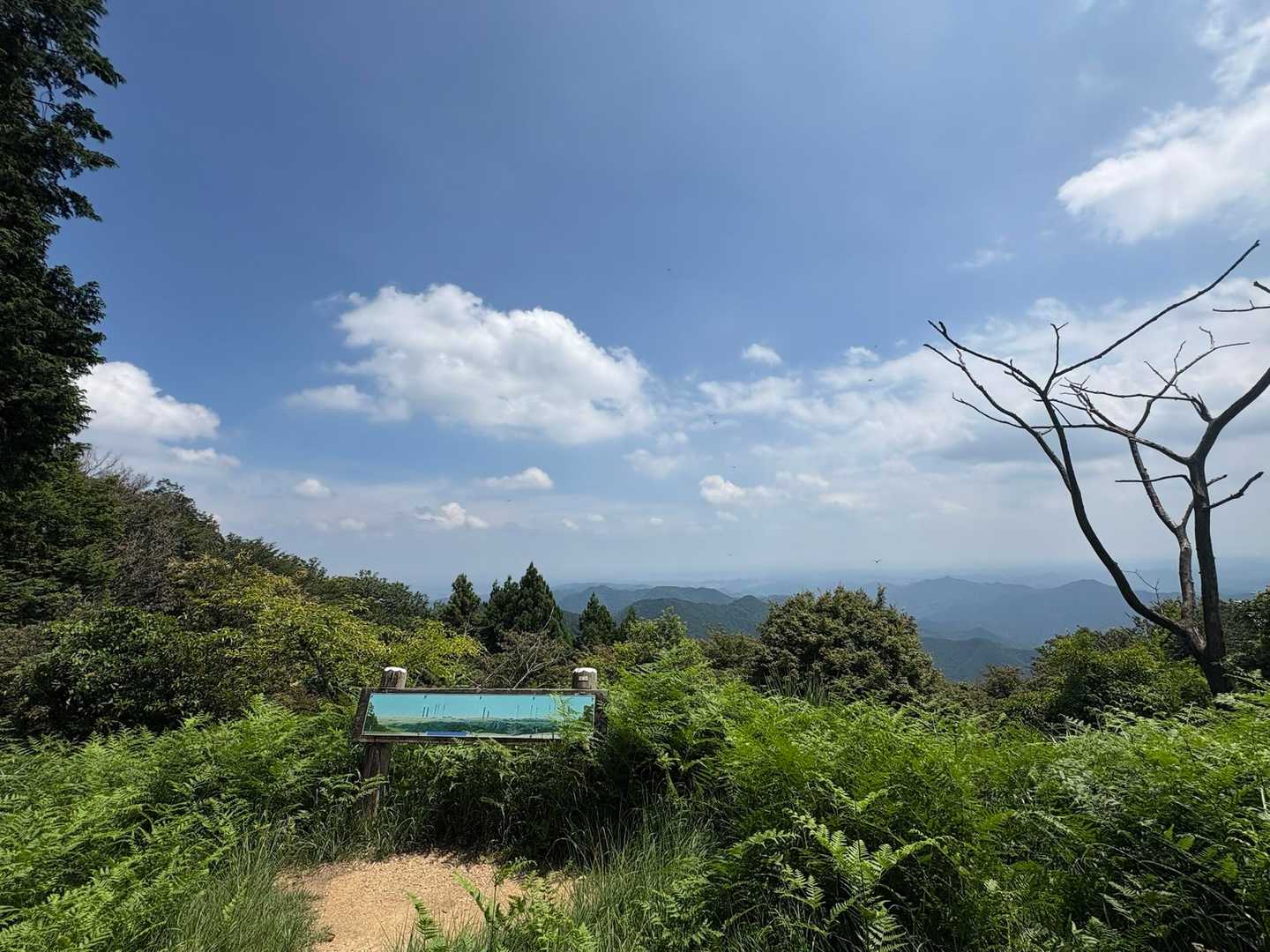 関八州見渡せるのを期待しましたが今の時期は草が鬱蒼としていて見渡せなかった😭