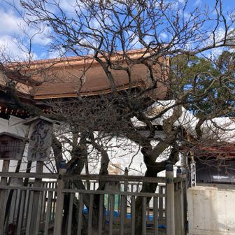 下山後、大宰府天満宮へ飛梅は、まだでした。