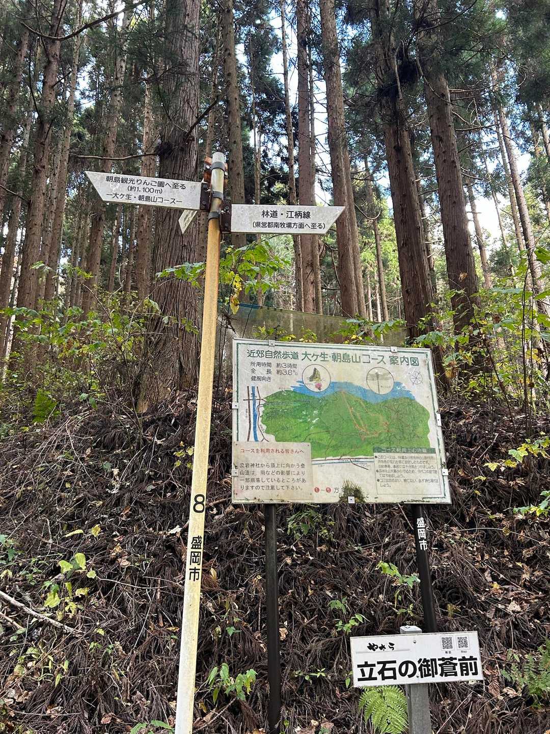 看板🪧