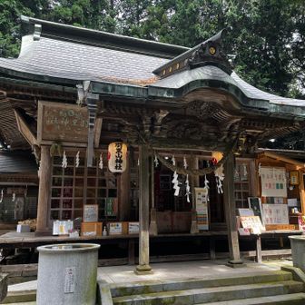 御朱印を買えてホッとしたら
境内をくまなく散策🚶🏻‍➡️
神主さんが来て、本殿の提灯に灯りを灯してくれたので、本殿の雰囲気ががらりと変わりました😊
それにしても、装飾が見事です☺️