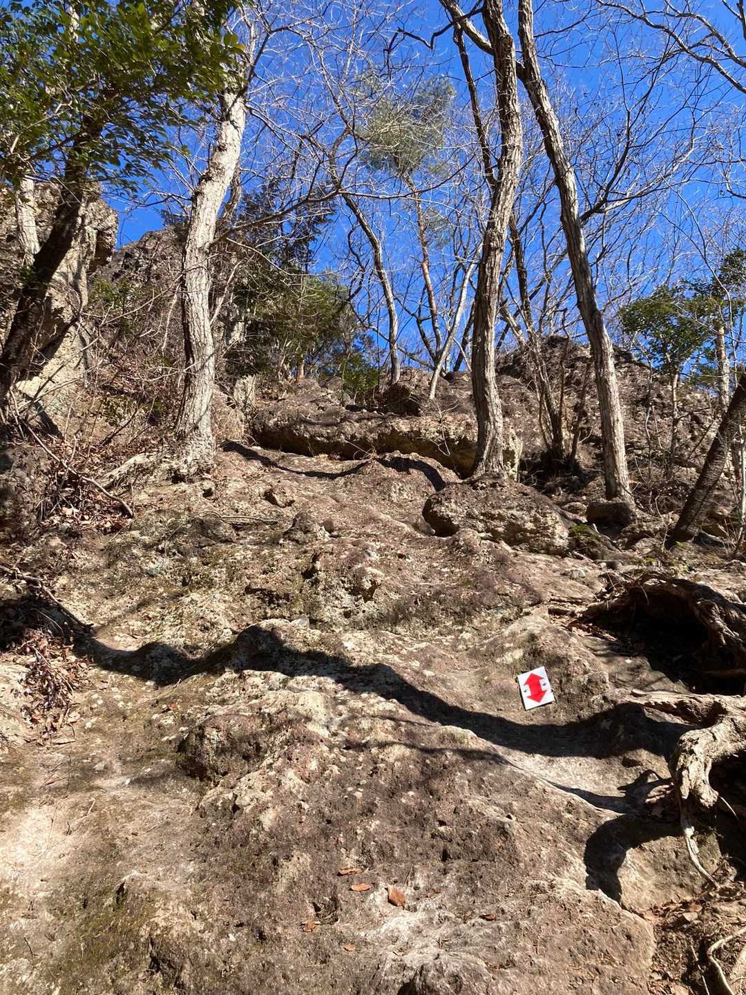 岩山 往復コースの写真
