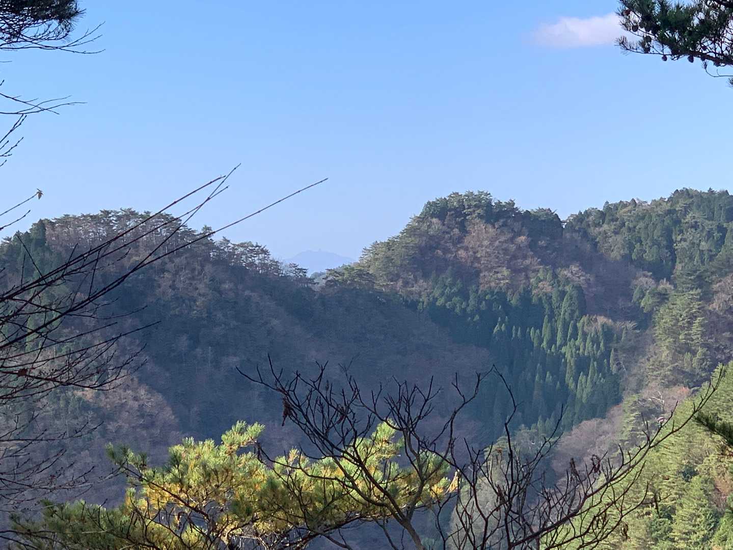 山の間にかすかに見えます、あれが阿蘇の根子岳です。