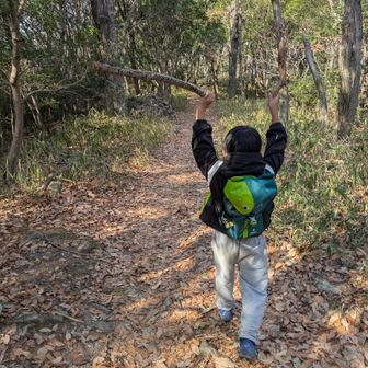 お兄ちゃんが気に入った木の棒を拾って歩いていたのはいいのですが…その後転んで、それが仇となり握りしめていた手を開けず指を擦りむいて、泣いてしまいました😅