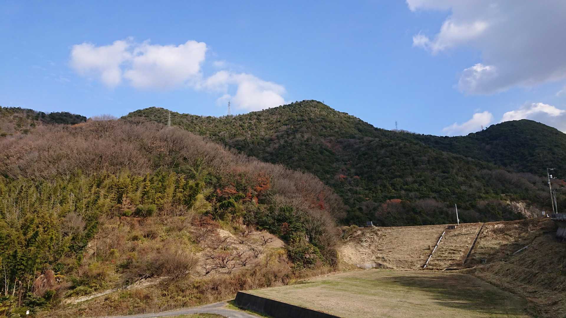 舗装道歩きながら 見上げる 👀