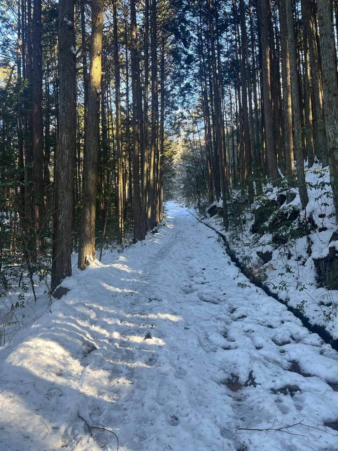 こんな感じの坂道が続く😆✨