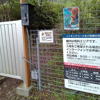 有料区域への入り口。登山しながら家内と「有料っていくらなのかな」「わからんけど、300円くらいならばお金払って山頂まで行こう」ってな話しをしていました。
結果・・・、2,500円（片道のリフト代込み）。迷うことなく引き返し。