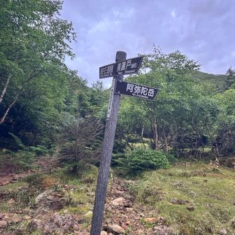 阿弥陀岳への分岐