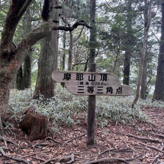 摩耶山頂